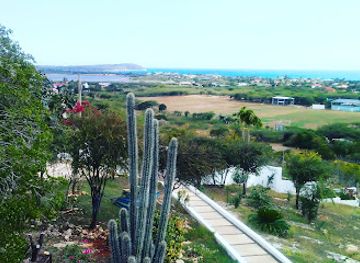 jamaica/treasure-beach/landmark/palms-360
