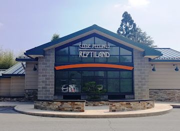 pennsylvania/anthracite-coal-region/landmark/clyde-peeling-s-reptiland