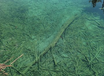 croatia/plitvice-lakes-national-park/landmark/restaurant-petar-plitvice-lakes