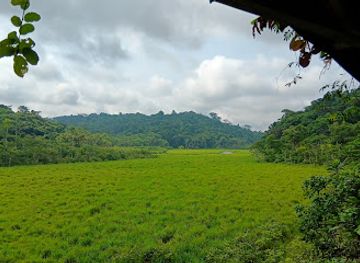 gabon/ivindo-basin/landmark/ivindo-national-park