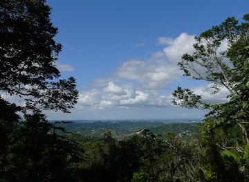 puerto-rico/caribbean-national-forest/landmark/la-marquesa-forest-park