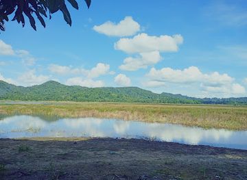 papua-new-guinea/sepik-river-basin/landmark/sepic-river-crocodile-festival
