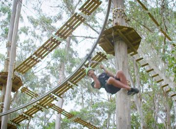 australia/great-ocean-road/landmark/live-wire-park
