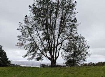california/east-bay/landmark/ukraina-california-historical-landmark-1025