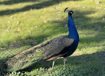 arizona/phoenix/glendale/landmark/glendale-historical-society