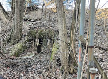 illinois/aurora/landmark/naperville-cow-tunnel