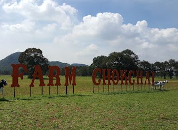 thailand/nakhon-ratchasima/landmark/farm-chokchai