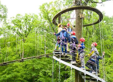 wisconsin/lake-geneva/landmark/lake-geneva-ziplines-adventures