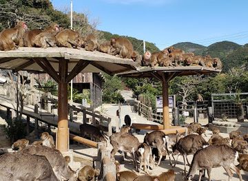 japan/awaji/landmark/awaji-monkey-center