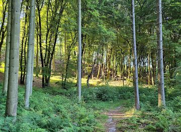 denmark/mariager-fjord/landmark/alstrup-krat