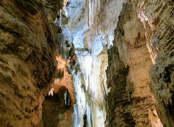 new-zealand/waitomo-caves/landmark/aranui-cave-tours-discover-waitomo