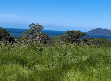 australia/hinchinbrook-island/landmark/djiru-national-park