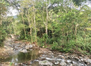 honduras/aguan-valley/landmark/presentacion-centeno-children-s-park