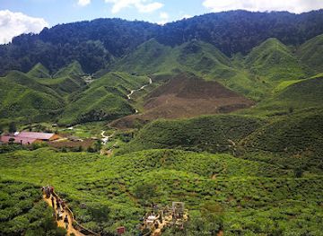 malaysia/cameron-highlands/landmark/rose-valley