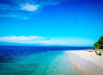indonesia/papua/landmark/anus-island