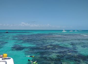 florida/key-largo/landmark/sea-dwellers-dive-center-of-key-largo