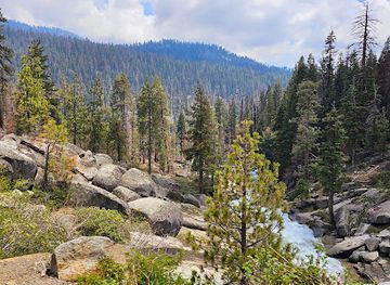 california/sequoia-national-park/landmark/the-giant-forest