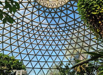 australia/brisbane/landmark/brisbane-botanic-gardens-mt-coot-tha