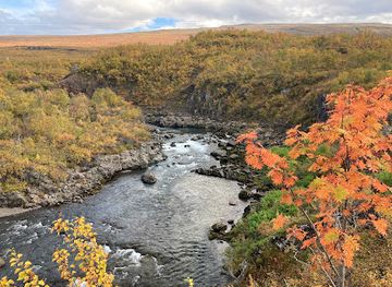 iceland/egilsstadir/landmark/selskogur