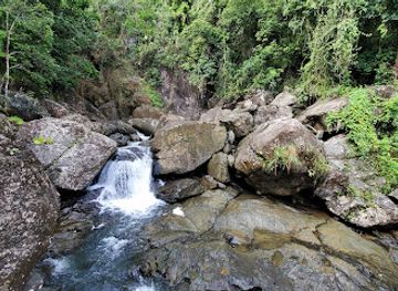 puerto-rico/yunque-national-forest/landmark/cascada-rio-espiritu-santo