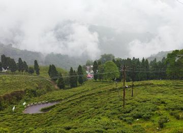 india/darjeeling/landmark/happy-valley-tea-estate