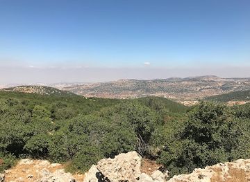 jordan/mujib-nature-reserve/landmark/mhimyt-ghbt-ajlwn