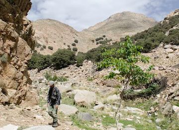 morocco/atlas-mountains/landmark/atlas-wild