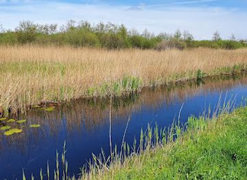 netherlands/wadden-islands/landmark/grote-wielen