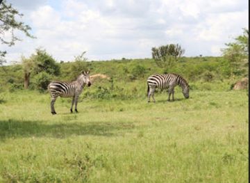 uganda/western-region/landmark/uganda-tours