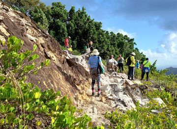 barbados/scotland-district/landmark/turner-s-hall-wood