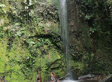 brunei/telisai/landmark/wasai-kandal-hike