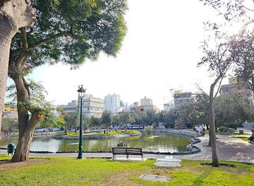 peru/lima/san-isidro/landmark/bosque-el-olivar