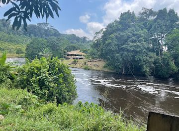 gabon/coastal-plains/landmark/liana-bridge-of-poubara