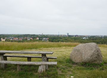 denmark/herning/landmark/p-plads-knudmosebjerget