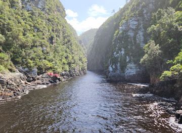 south-africa/tsitsikamma-national-park/landmark/the-big-tree-tsitsikamma