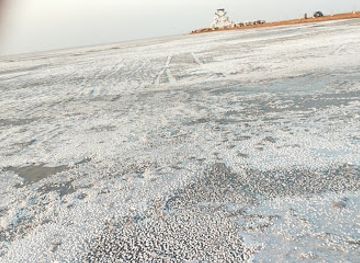 india/kutch/landmark/dhordo-to-dholavira-road