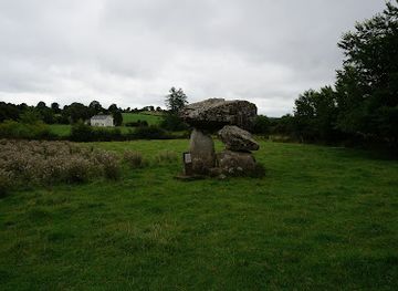 ireland/county-longford/landmark/aghnacliff-portal-tomb-dolmen