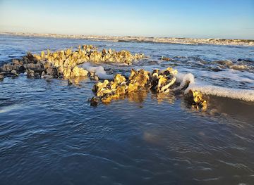 south-carolina/edisto-island/landmark/edingsville-beach