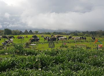 costa-rica/southern-zone/landmark/samana-farm