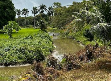 suriname/albina/landmark/fort-nieuw-amsterdam