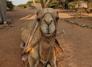 djibouti/arta/landmark/decan-refuge