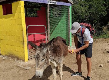 antigua-and-barbuda/falmouth/landmark/antigua-s-donkey-sanctuary-humane-society