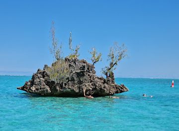 mauritius/flic-en-flac-beach/landmark/santana-dolphin-fishing-charter-mauritius