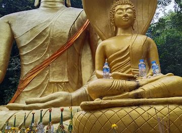 laos/golden-triangle/landmark/wat-pa-big-buddha-forest-temple