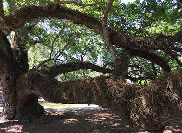 louisiana/atchafalaya-basin/landmark/e-d-white-historic-site