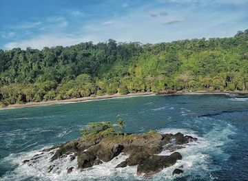 costa-rica/osa-peninsula/landmark/top-trails-corcovado