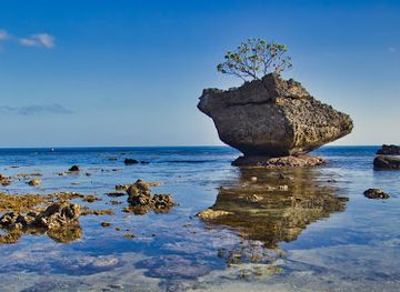 christmas-island/smith-point/landmark/christmas-island-visitor-centre