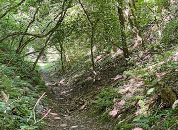 denmark/limfjord/landmark/noddedalen
