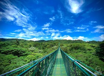 costa-rica/monteverde/landmark/monteverde-wild-guided-tours