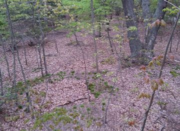 new-york/long-island/landmark/childs-mansion